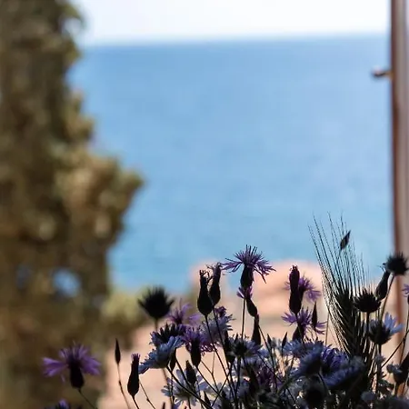 Kyklamino Castlehouse 모넴바시아